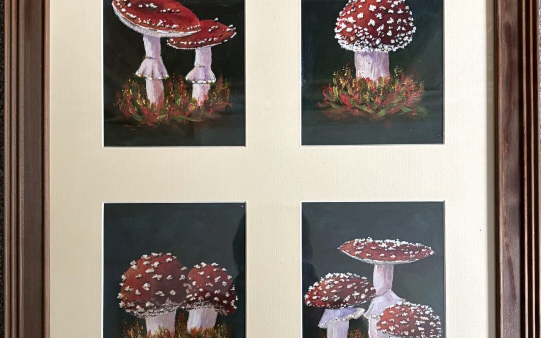 Fly Agaric
